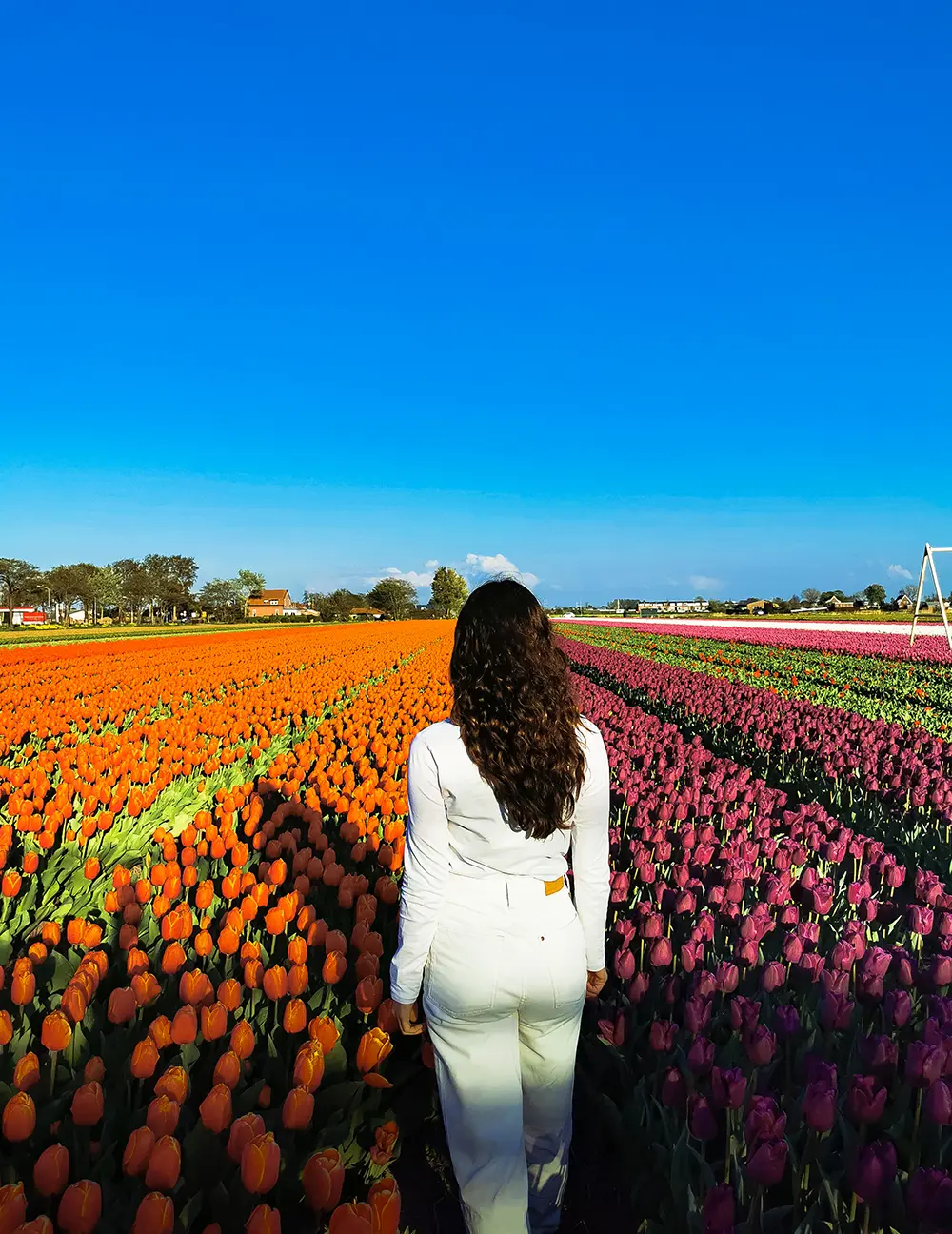 The Netherlands Travel Guides