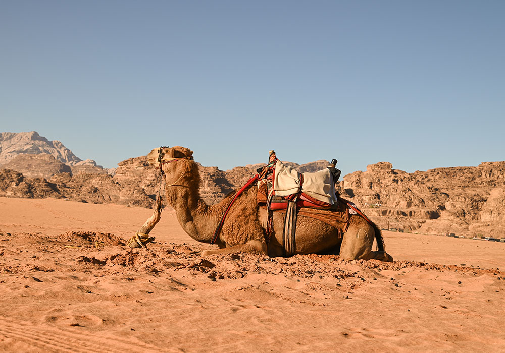 Wadi Rum