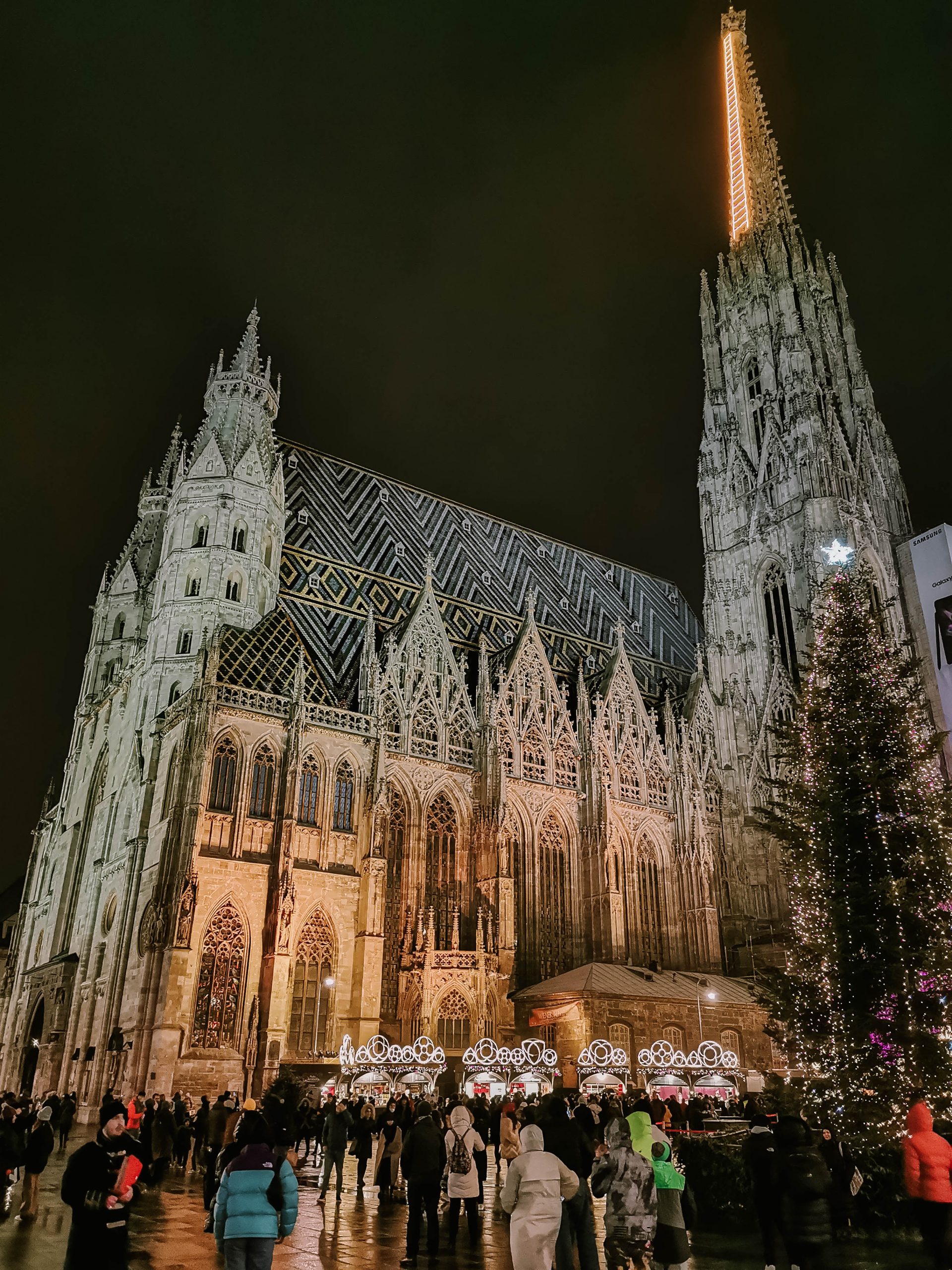 Vienna Stephansdom night