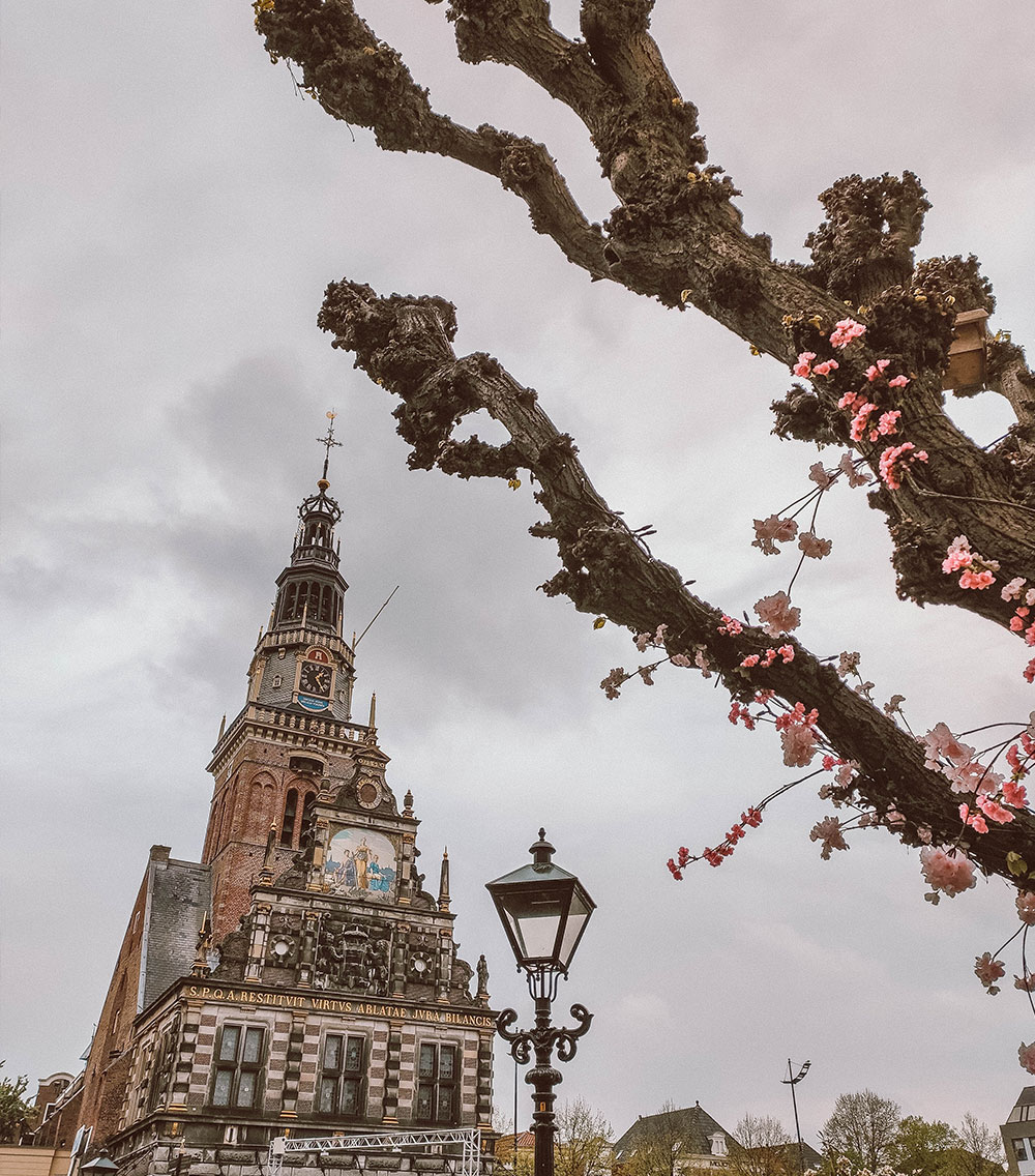 Day trip to Alkmaar - Netherlands