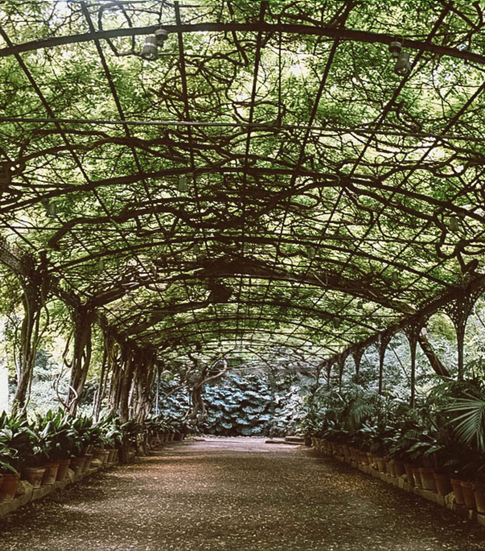 Malaga - Botanical Garden of La Concepcion