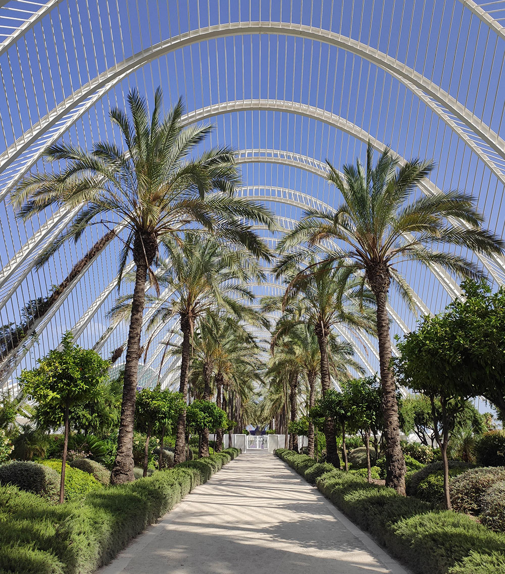 Valencia - L’Umbracle