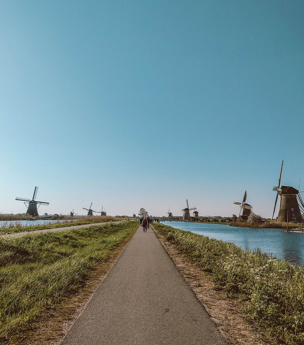 Day trip to Kinderdijk - Netherlands