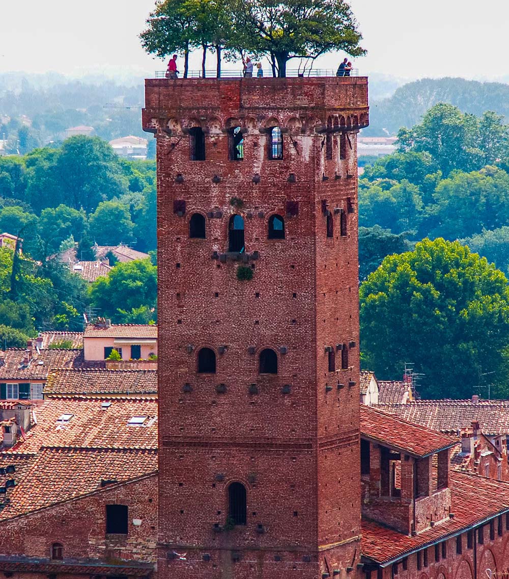Torre Guinigi - Lucca, Tuscan