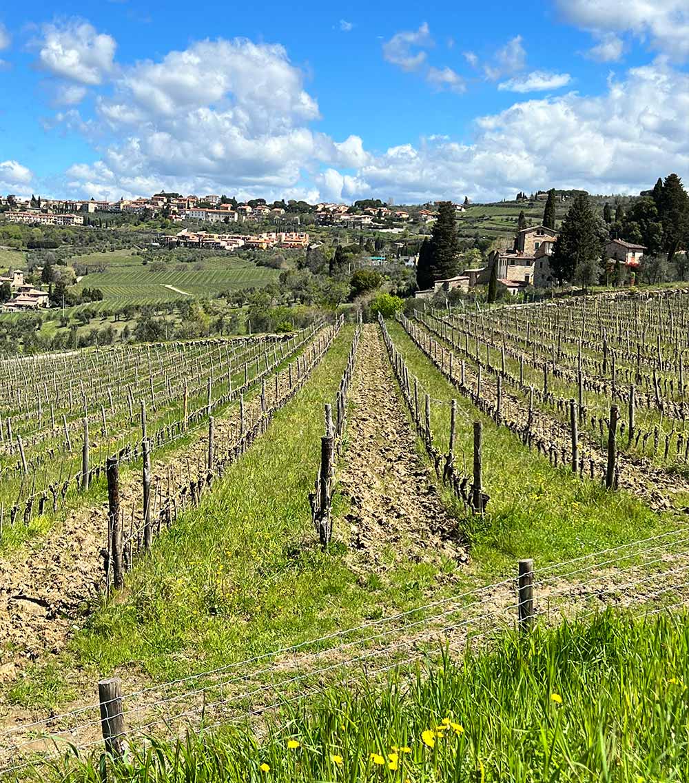 Montefioralle, Tuscany - Hiking